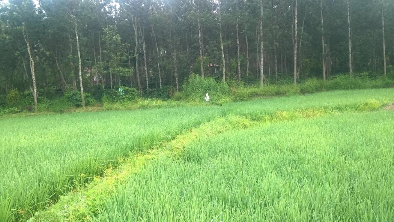 RAI COTTAGE @ Coorg ,Suntikoppa Luaran gambar
