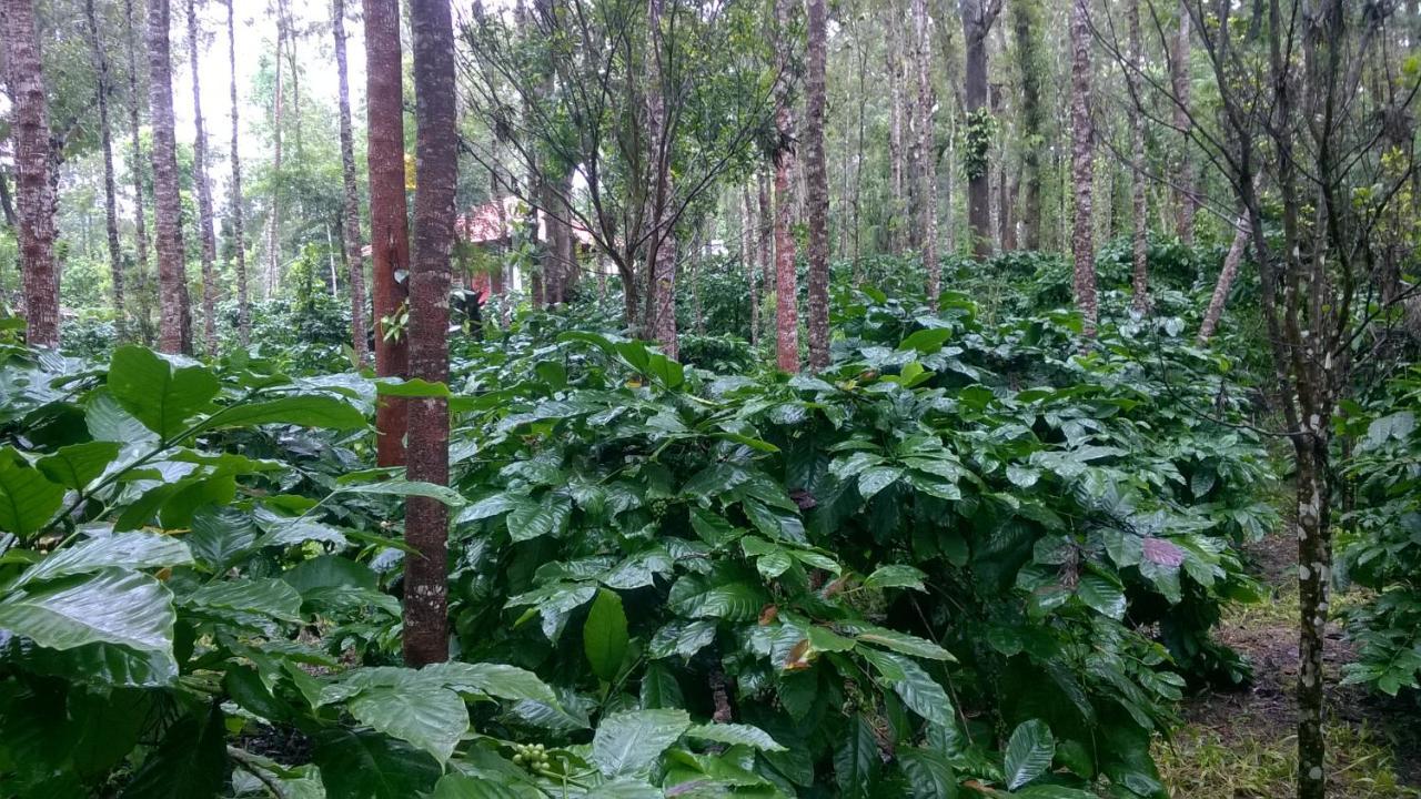 RAI COTTAGE @ Coorg ,Suntikoppa Luaran gambar