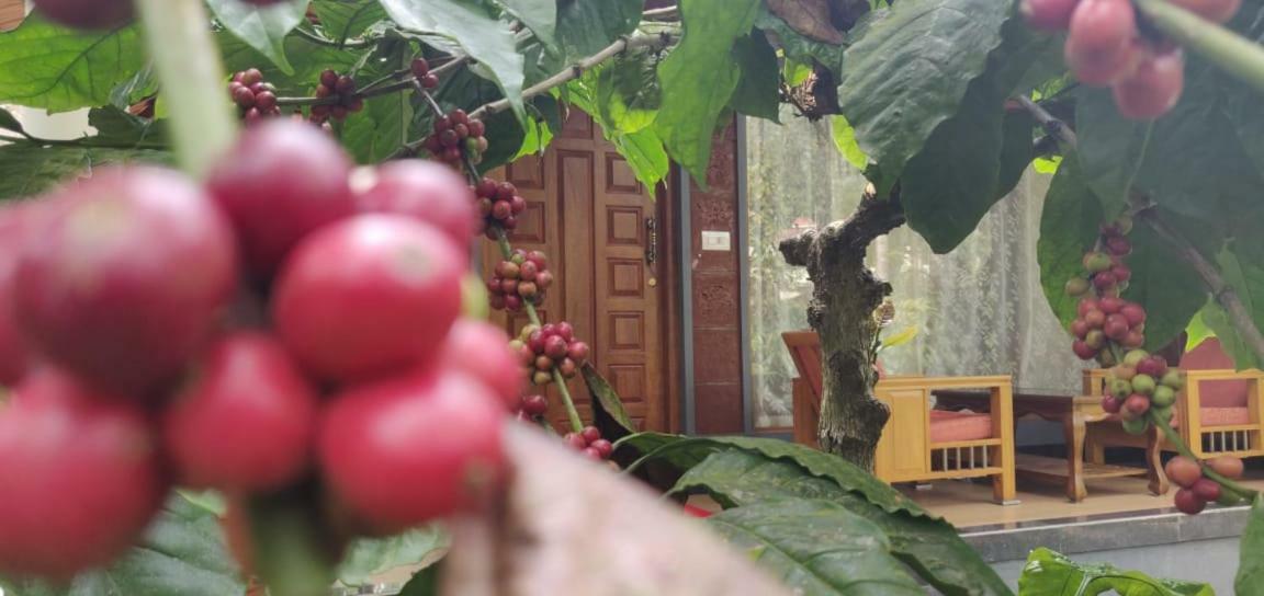 RAI COTTAGE @ Coorg ,Suntikoppa Luaran gambar