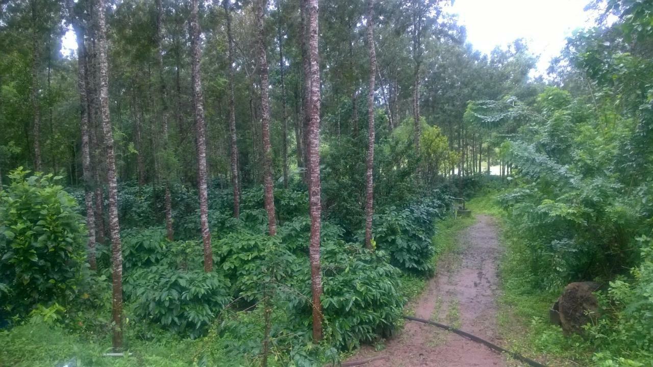 RAI COTTAGE @ Coorg ,Suntikoppa Luaran gambar