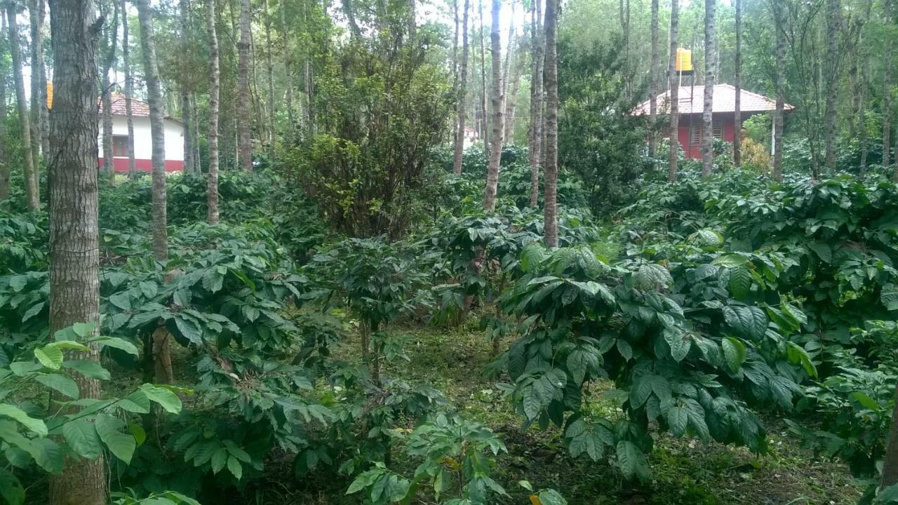 RAI COTTAGE @ Coorg ,Suntikoppa Luaran gambar
